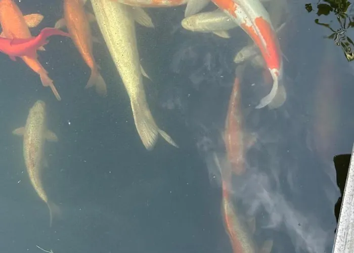 Freetimeflat Mies & Fien Апартаменти