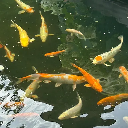 Freetimeflat Mies & Fien شقة