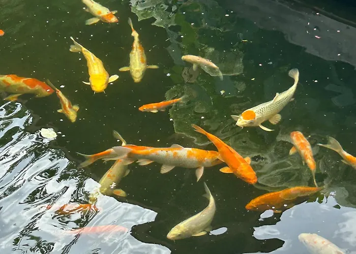 Freetimeflat Mies & Fien Apartment